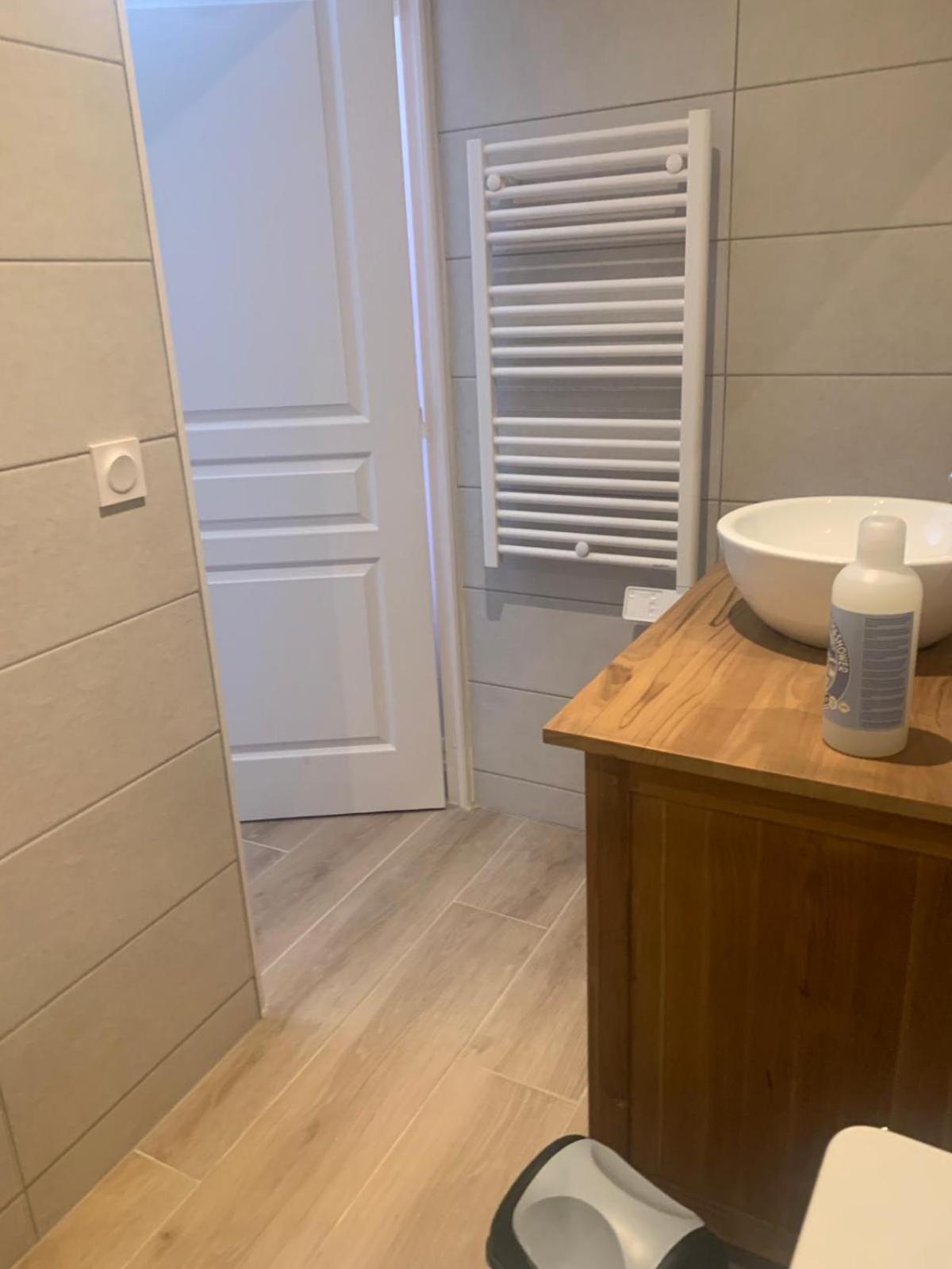 Chez Emilie Et John Apartment Saint-Etienne  Ngoại thất bức ảnh